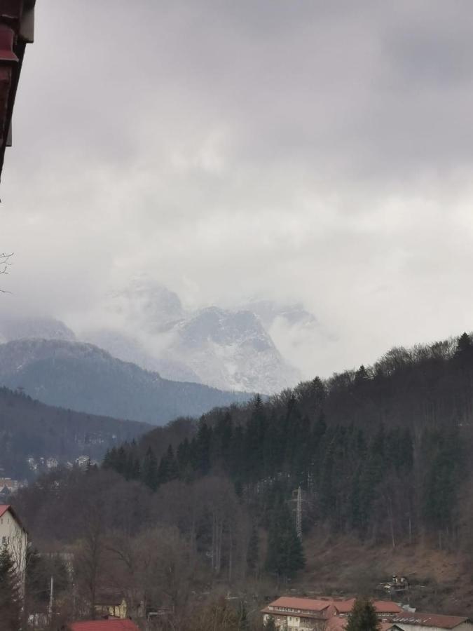 Apartament Panoramic View Sinaia Leilighet Eksteriør bilde