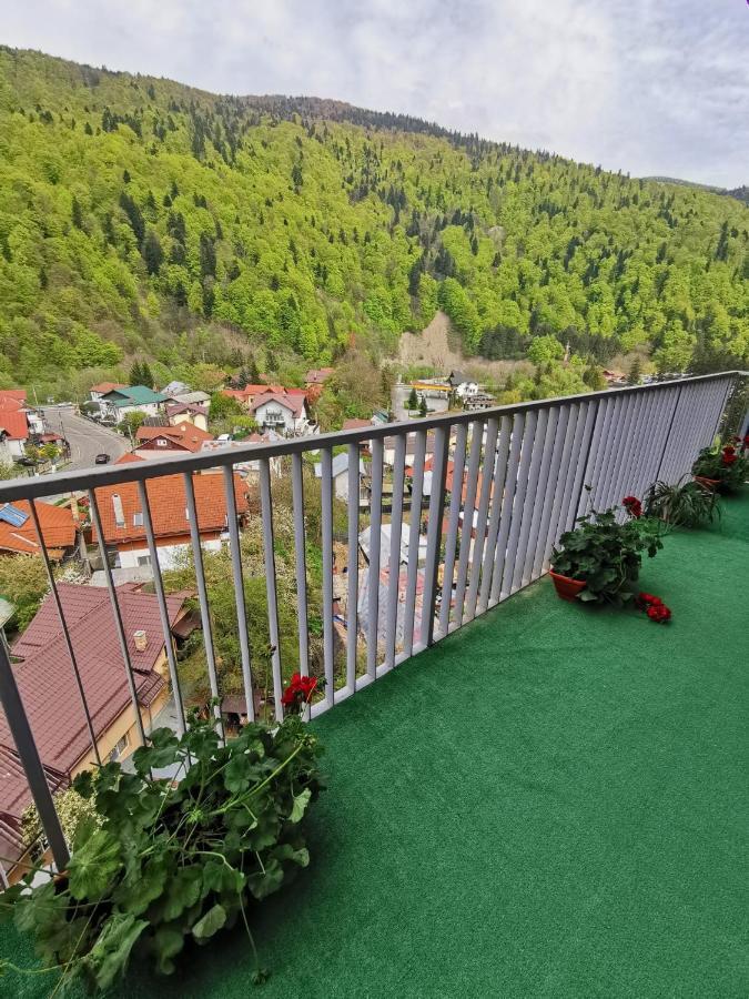 Apartament Panoramic View Sinaia Leilighet Eksteriør bilde