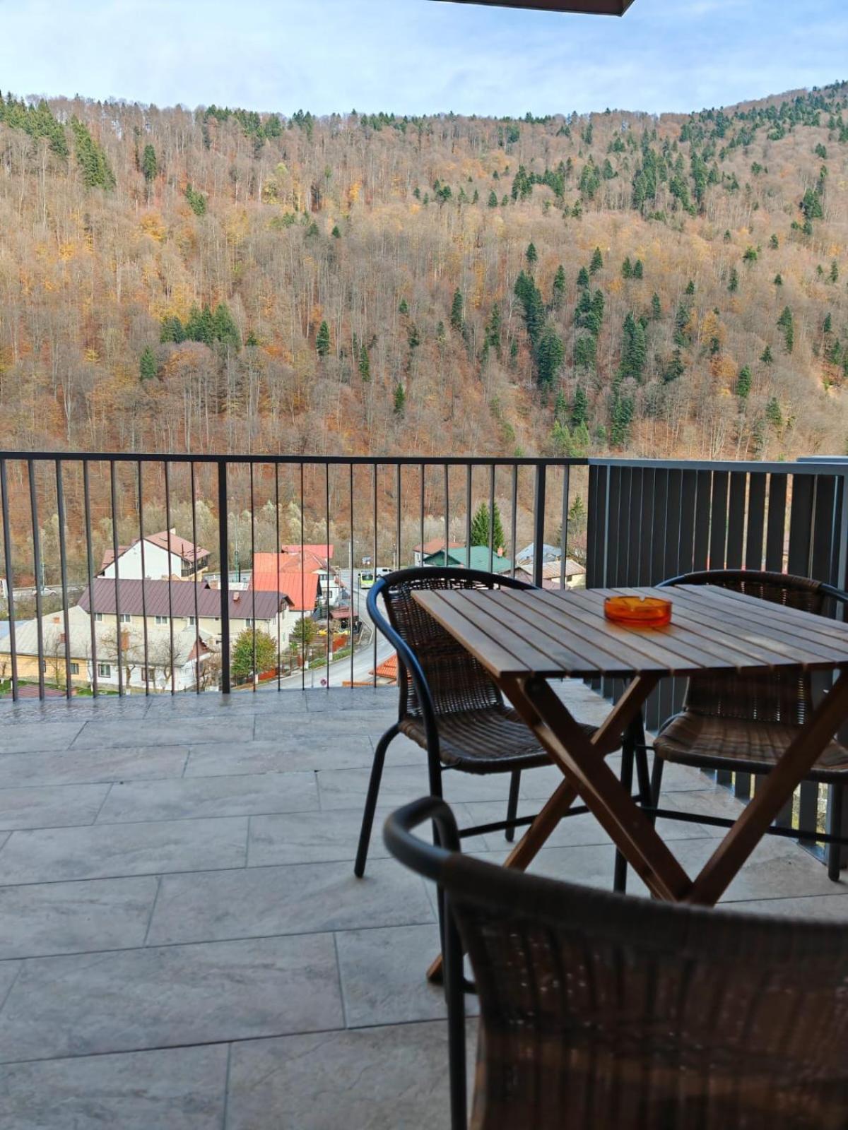 Apartament Panoramic View Sinaia Leilighet Eksteriør bilde