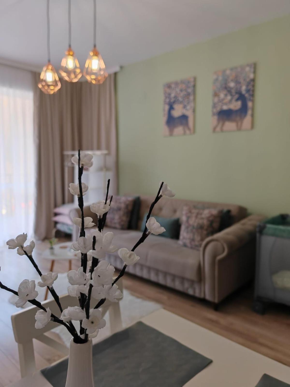 Apartament Panoramic View Sinaia Leilighet Eksteriør bilde